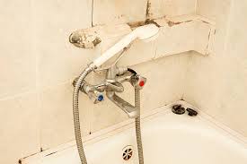 How To Clean Black Mold From Shower Grout