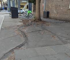 Pavement Damage From Tree Roots