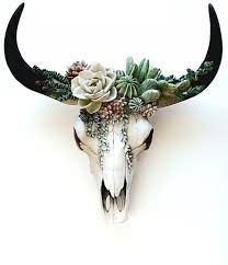Cactus Bull Skull Cow Skull Southwest