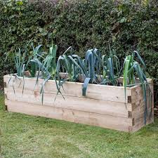 Caledonian Trough Raised Bed Taylor