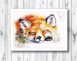 Sleeping Fox Print Wall Art Uk