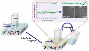 Icephobic Durability Of Branched Pdms