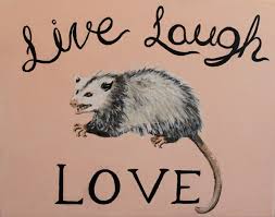 Opossum Art Print Funny Live Laugh Love