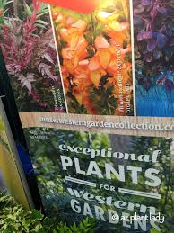 Plant Varieties For Westren Gardens