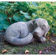 Lucas Stone Animals Dog Nap Birstall