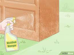 how to remove mold from wood furniture