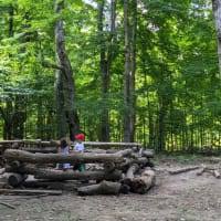 Cincinnati Nature Center A Great