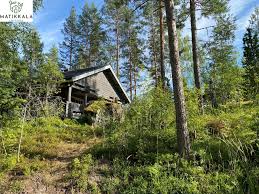 Matikkala Cottages Ruokolahti