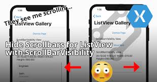 hide scrollbars for listview with