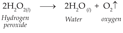 Chapter 3 Chemical Reactions And Equations