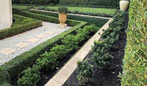 Borders O O Plants Garden