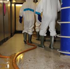 Sewage Cleaning Sewer Backup Cleanup