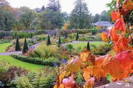 Where To See Best Autumn Colours At