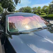 Solar Car Window Sunset Chameleon