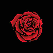 Red Rose Flower Vector Artwork Red