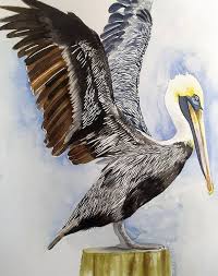 Pelican Painting By Rakhi Saha
