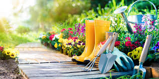 5 Top Tips Spring Ready Gardens