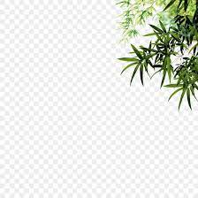 Bamboo Leaf Ink Icon Png 4134x4134px