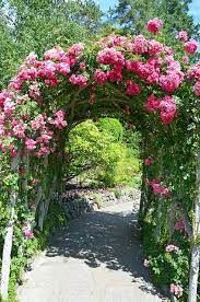 Pink Rose Garden Archway Garden