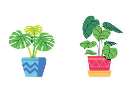 Pretty Ornamental Plant Icon Graphic By