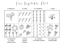 Our Vegetable Garden Plan April Everyday
