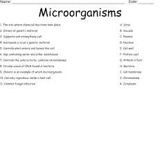 Microorganisms Worksheet Wordmint