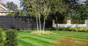 How To Create Privacy In Your Garden