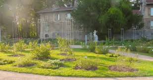 Flower Bed In The Form Of Molveno