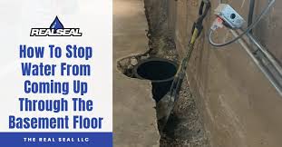 The Basement Floor