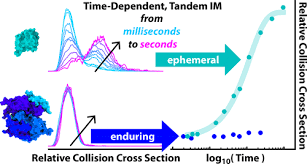 Molecular Elephants Enduring