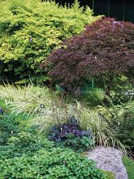 Dry Shade Done Simply Plant Ids Fine