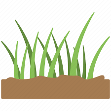 Fertile Soil Grass Grass Icon Green