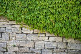 Garden Wall Images Free On