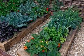 Grow A Front Yard Vegetable Garden