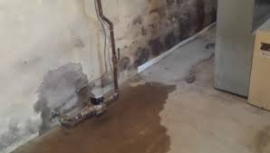 Wet Basement A Problem In Your Home