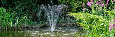 Pond Fountain Benefits Operation