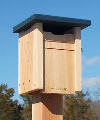 Audubon Cedar Sparrow Resistant