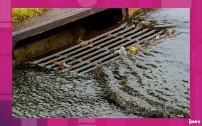 Sewer Backup Coverage How To Protect
