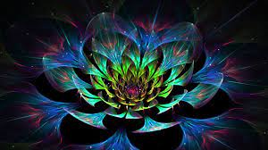 3d Lotus Flower Hd Wallpaper Wallpaperfx