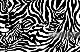 9 Zebra Patterns Psd Vector Eps