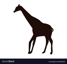 Giraffe Icon Royalty Free Vector Image