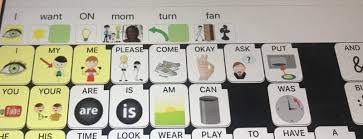 Autism Internet Modules
