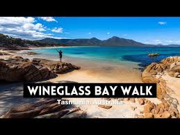 Wineglass Bay Walk Tiger Snakes And