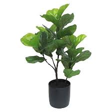Artificial Fiddle Leaf Fig Tree In