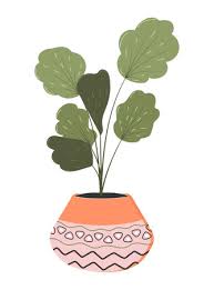 Houseplant With Clay Pot With Ornaments