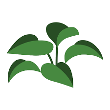 Rubber Plant Free Nature Icons