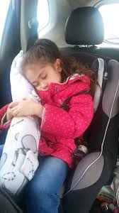 Sugar Skull Seat Belt Pillow Toddlers