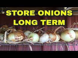 Onions Long Term Storage