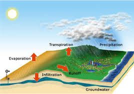 Undertaking A Water Balance