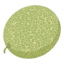 Whole Garden Melon Icon Isometric